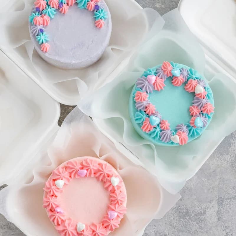 Bento Box Cake Making!