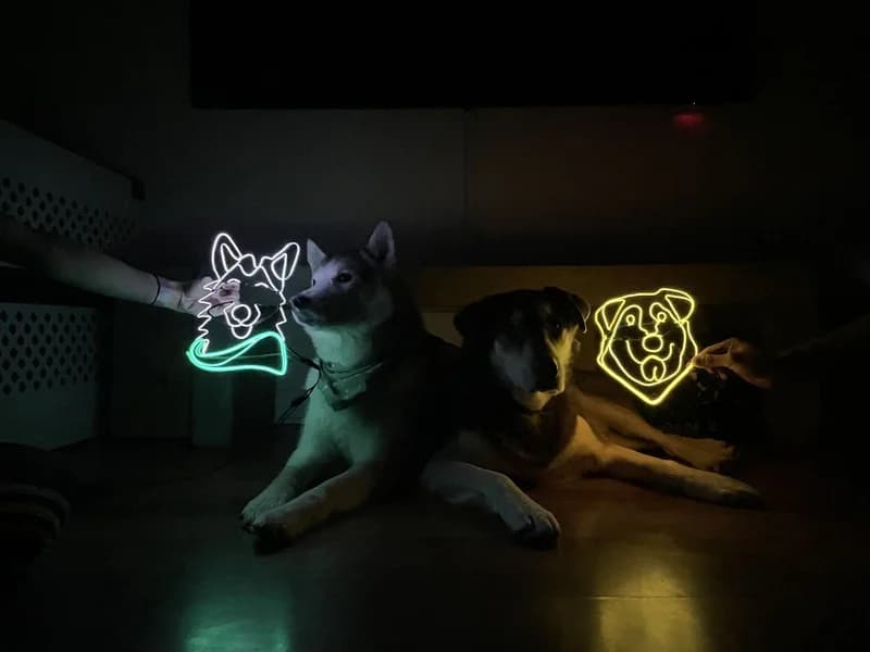 🐶 Doggo Glow – Private Microneon Class for 2